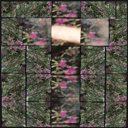 2025 – François CHENG rencontre la ‘Peinture avec le Cinéma’ – Cotation HÔTEL DROUOT – GRAND PALAIS/RMN & Centre Pompidou – Fondation CARTIER-BRESSON & Henri Bergson