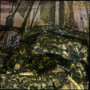 Joutes en eau profonde au Réalisme social de Gustave Courbet