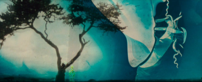 Dans la nuit, je vois...